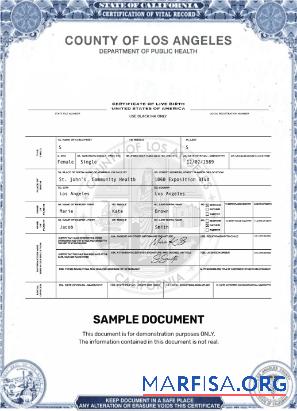 Printable USA Los Angeles certificate of live birth real example